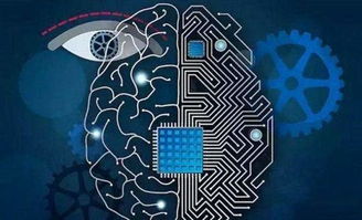 機器視覺 制造業(yè)智能化轉(zhuǎn)型的得力助手